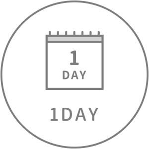 1DAY