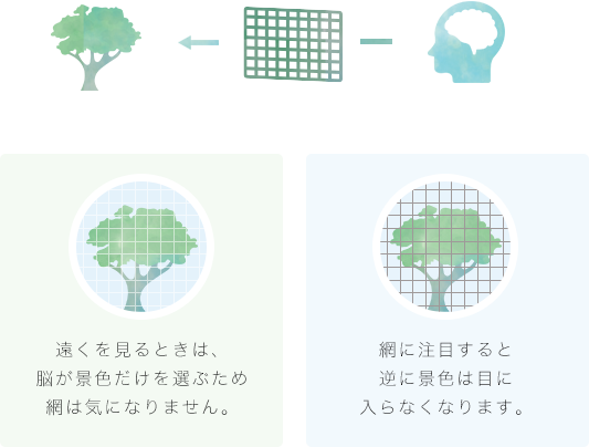 網越しに景色を見ると