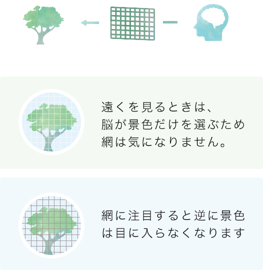 網越しに景色を見ると