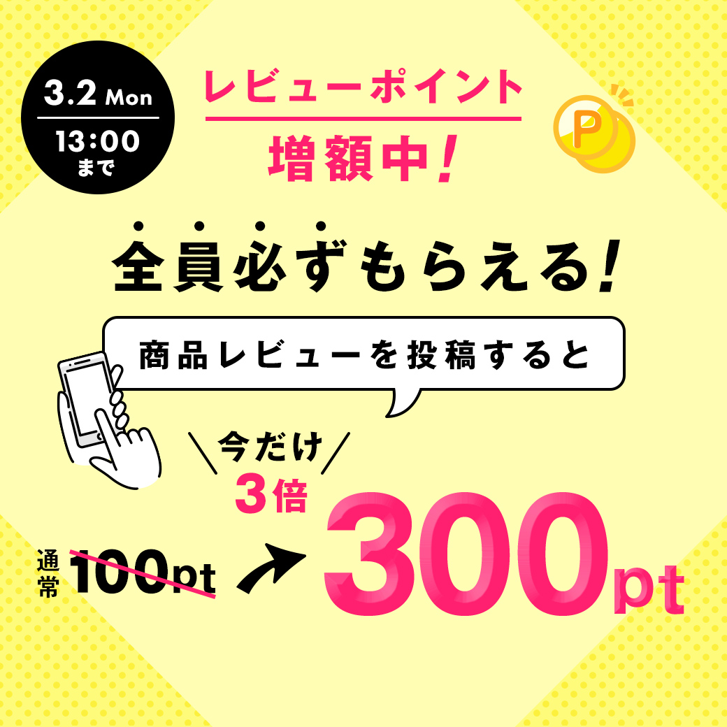 レビューポイント